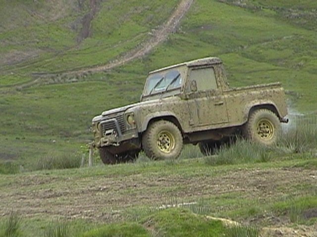toms05060534.jpg