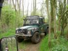 loddingtonforest07050611_small.jpg