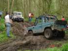 loddingtonforest07050615_small.jpg