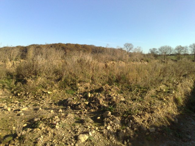 collywestonquarry15110715.jpg