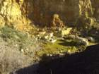 collywestonquarry15110735_small.jpg