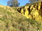 collywestonquarry15110736_small.jpg