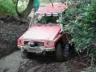 tong07070747_small.jpg
