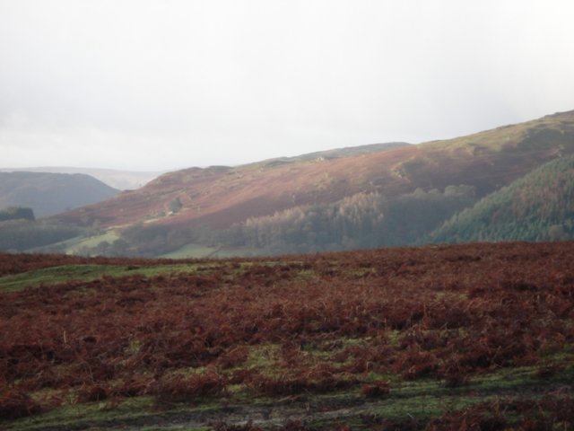 wales2101074.jpg