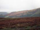 wales2101074_small.jpg