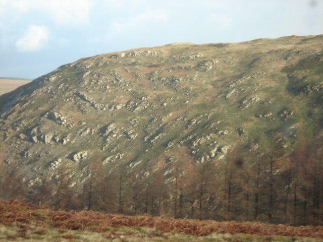 wales2101075.jpg