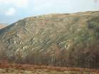 wales2101075_small.jpg