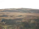 wales2101079_small.jpg