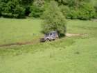 greenhallfarm310509108_small.jpg