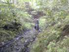 silverdale18100934_small.jpg
