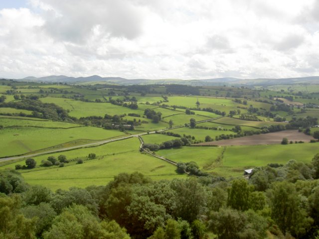 wernddu05070911.jpg