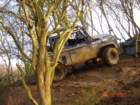 xtremelandysantas2007133_small.jpg
