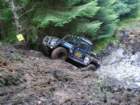 tayforestchallange2008044_small.jpg