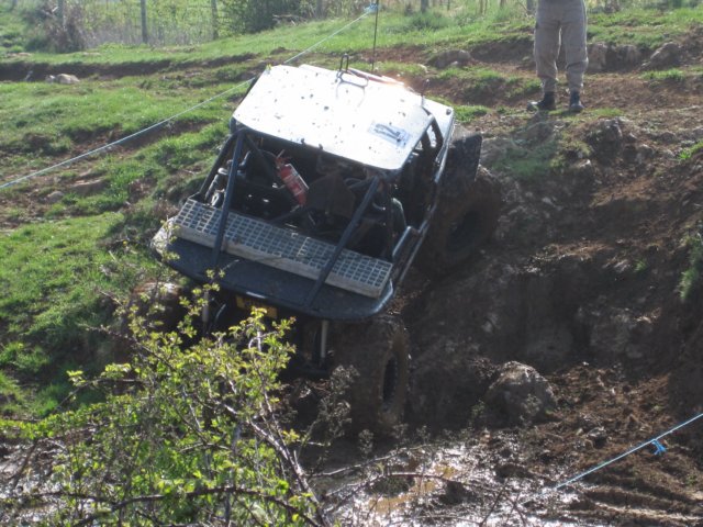 round2challenger4x4180411westharptree29.jpg
