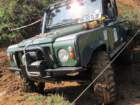 round2challenger4x4180411westharptree37_small.jpg