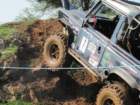 round2challenger4x4180411westharptree68_small.jpg
